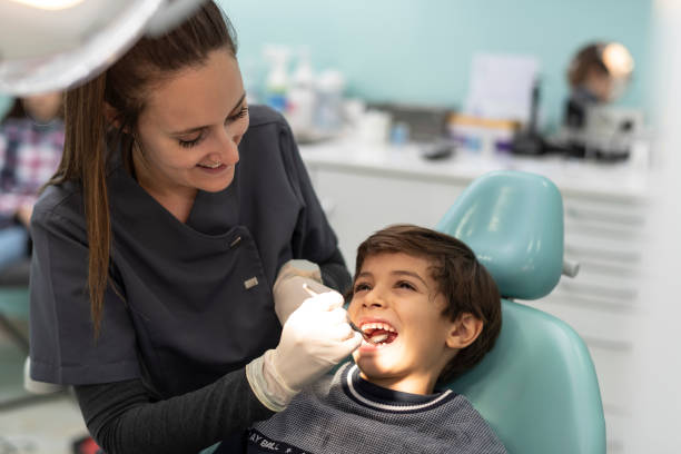 Best Emergency Dental Services for Seniors in Russells Point, OH