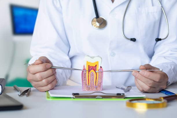 Best Emergency Dental Care for Abscessed Tooth in Russells Point, OH